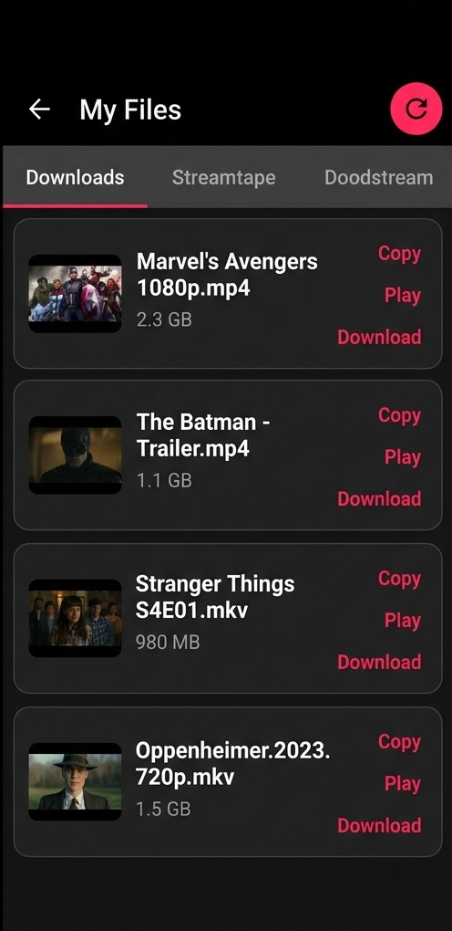 DS Downloader - Interface download video